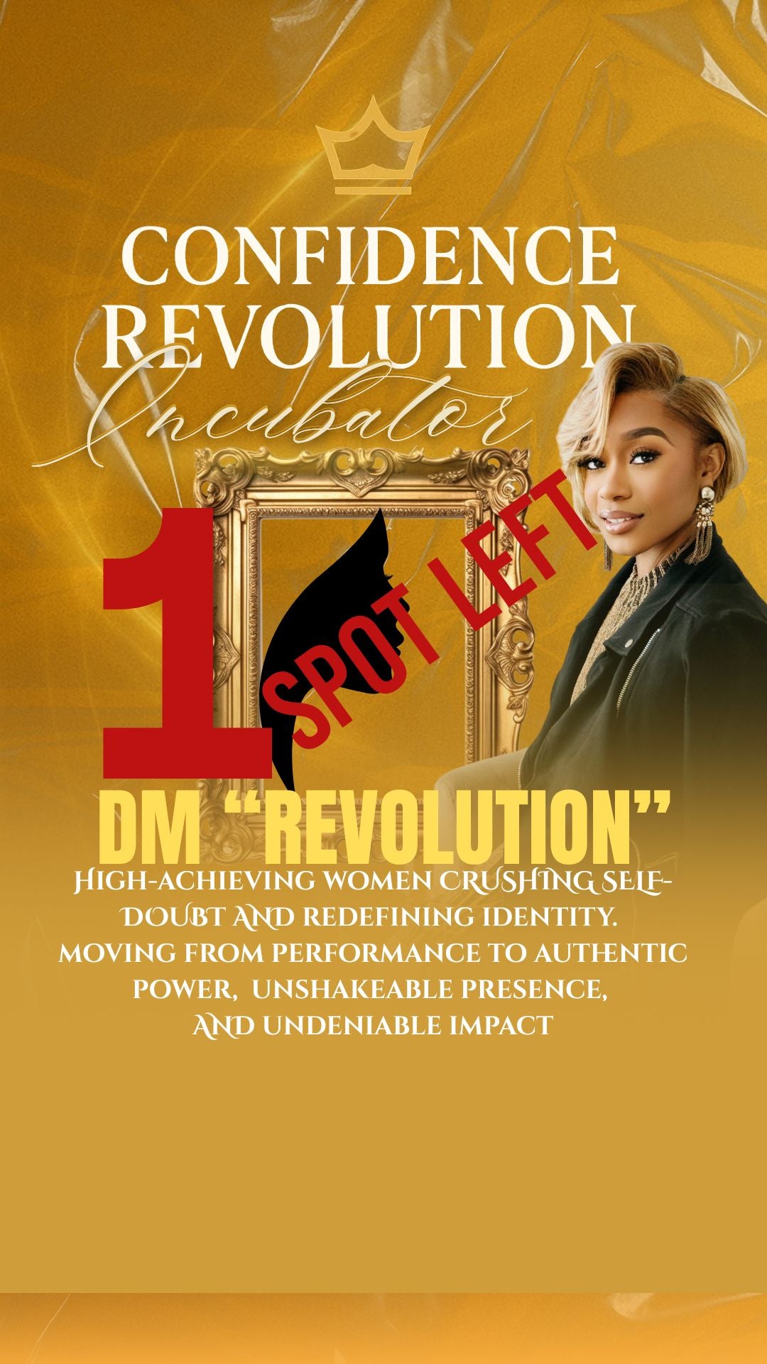 CONFIDENCE REVOLUTION INCUBATOR (Private link)