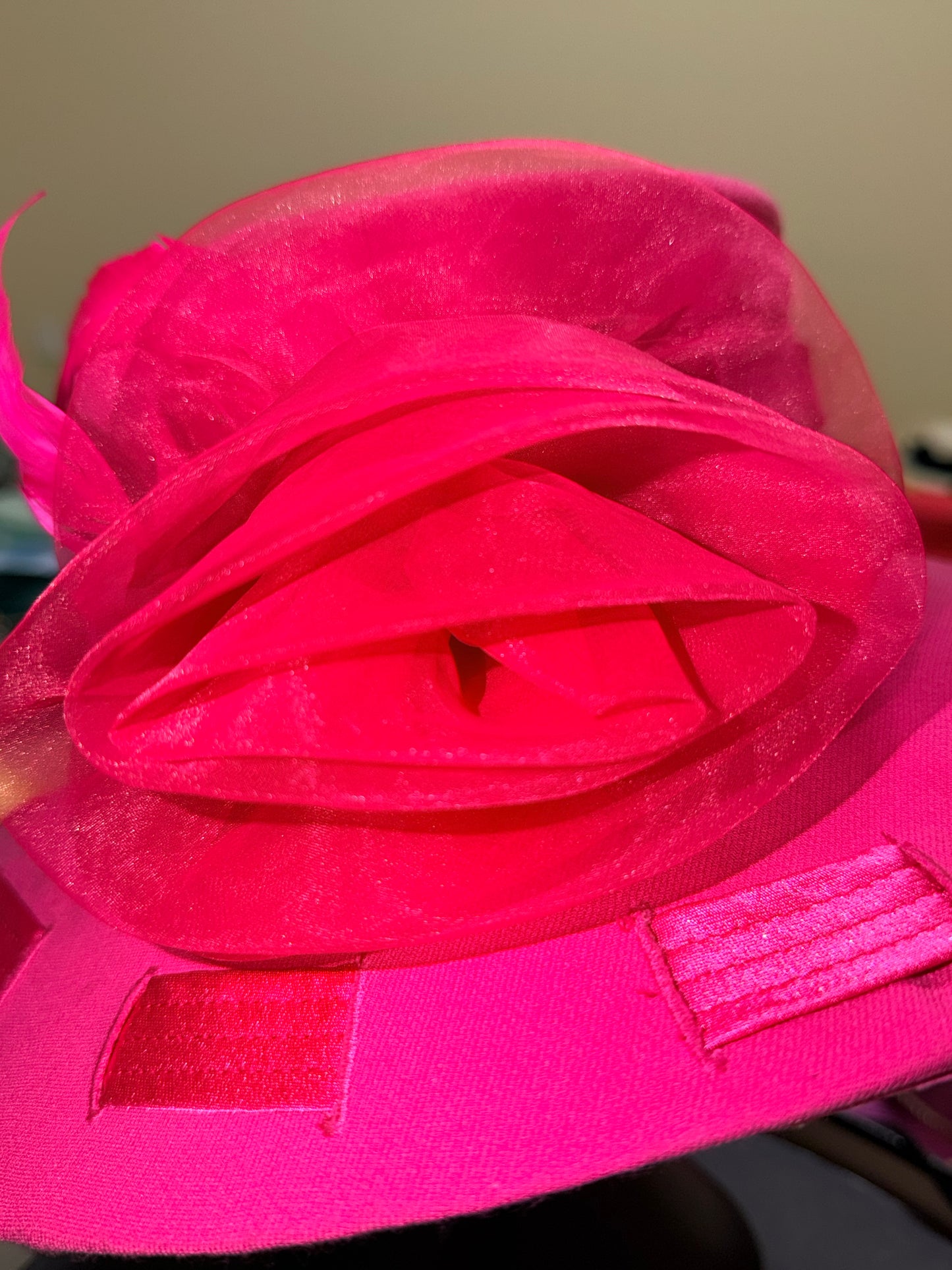 Fuchsia Flair